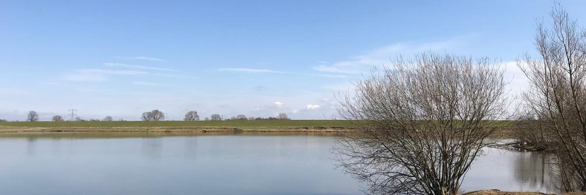 uiterwaarden