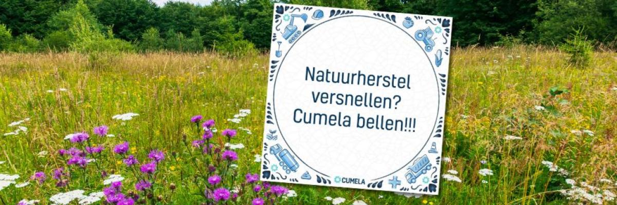 natuurherstel tegel