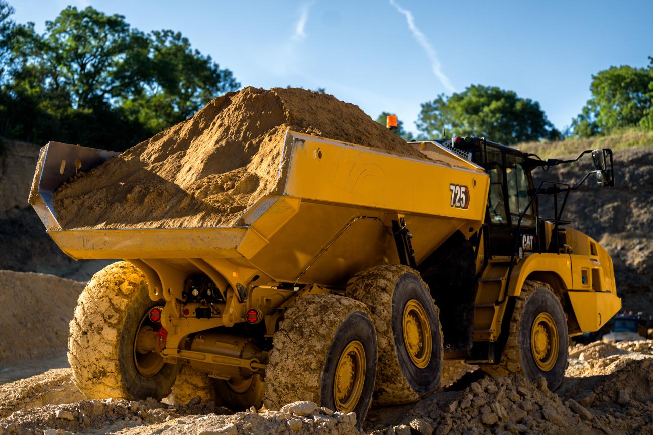 cat knikdumper