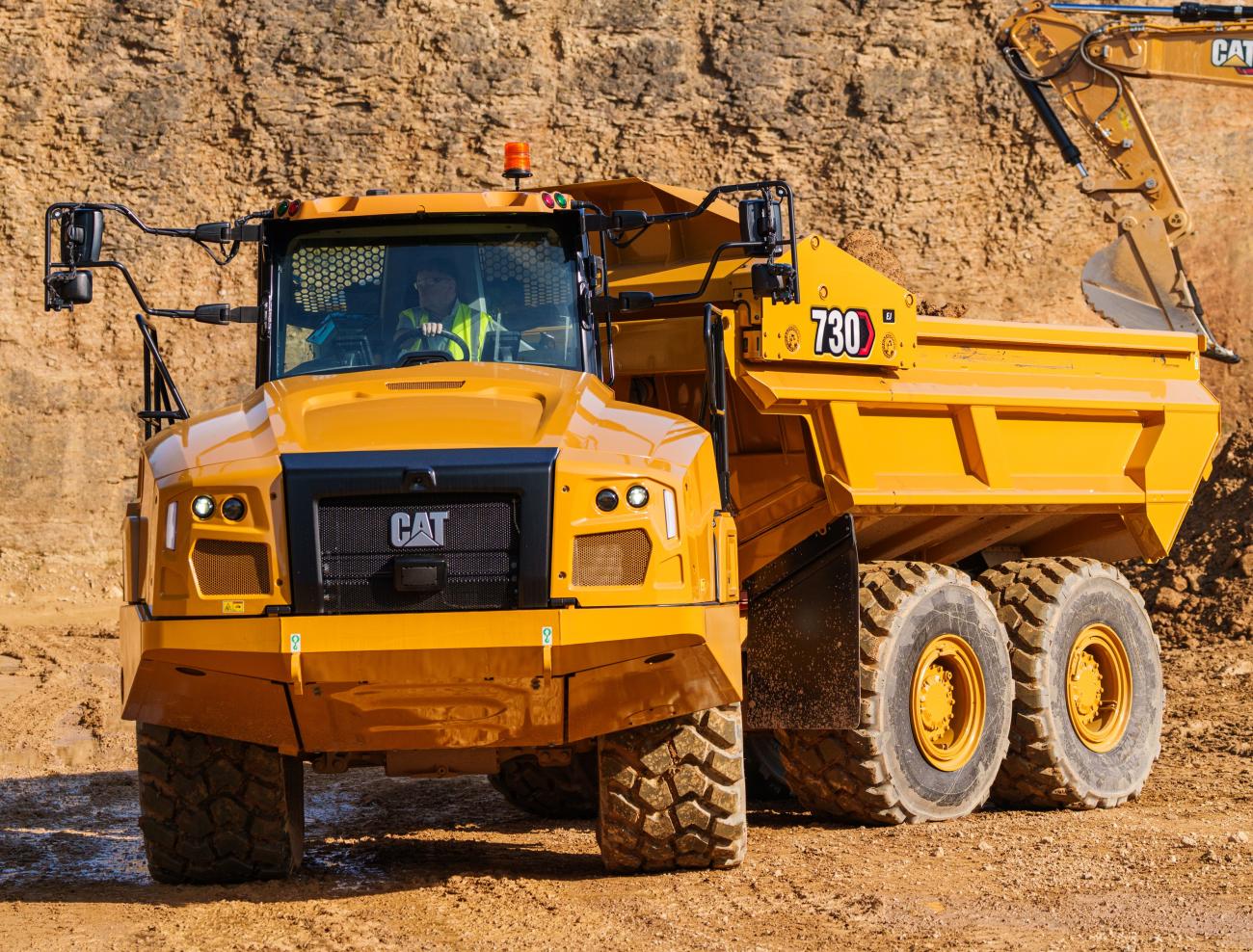 cat knikdumper